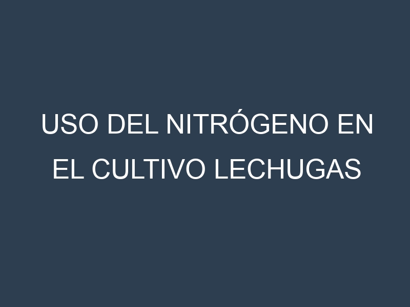 Uso del nitrógeno en el cultivo Lechugas