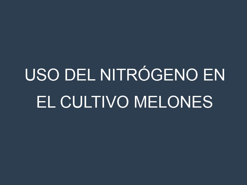 Uso del nitrógeno en el cultivo Melones