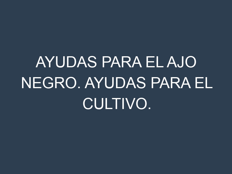 Ayudas para el Ajo negro. Ayudas para el cultivo. Subvenciones.