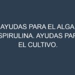Ayudas para el Alga espirulina. Ayudas para el cultivo. Subvenciones.