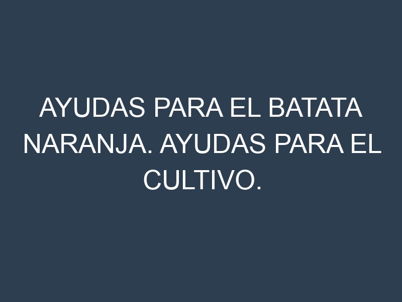 Ayudas para el Batata naranja. Ayudas para el cultivo. Subvenciones.