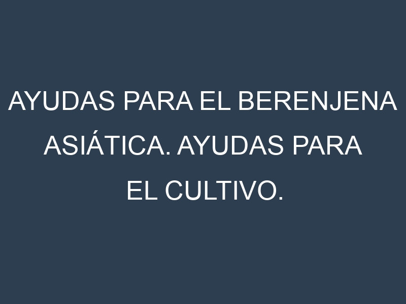 Ayudas para el Berenjena asiática. Ayudas para el cultivo. Subvenciones.