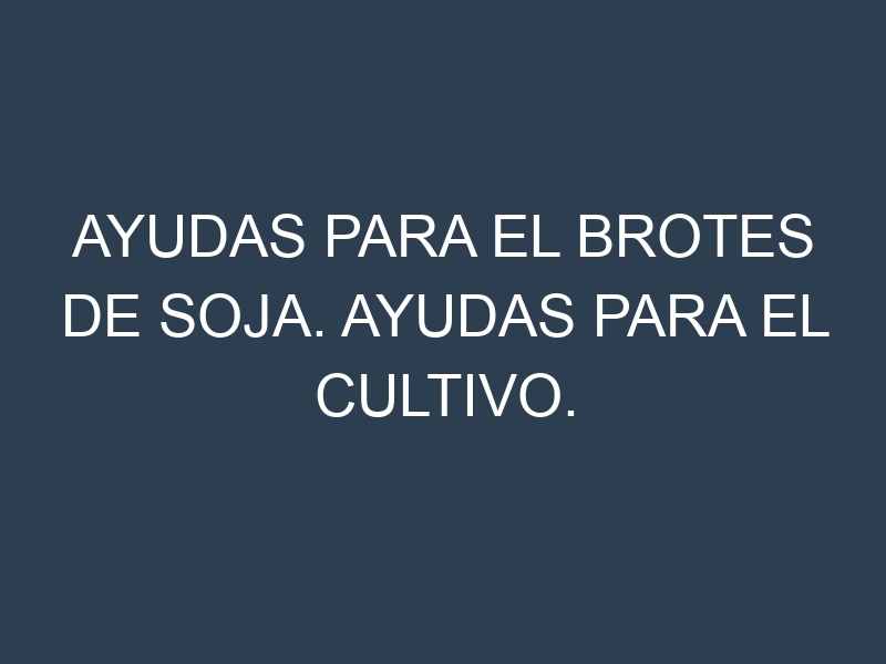 Ayudas para el Brotes de soja. Ayudas para el cultivo. Subvenciones.
