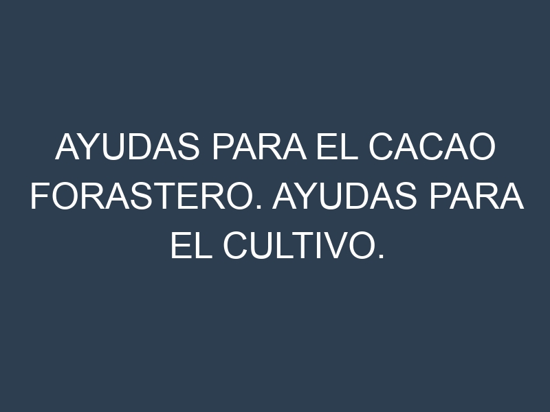 Ayudas para el Cacao forastero. Ayudas para el cultivo. Subvenciones.