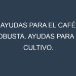 Ayudas para el Café robusta. Ayudas para el cultivo. Subvenciones.
