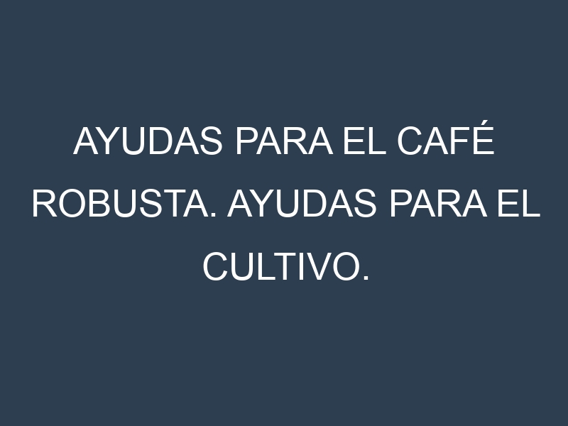 Ayudas para el Café robusta. Ayudas para el cultivo. Subvenciones.
