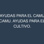 Ayudas para el Camu Camu. Ayudas para el cultivo. Subvenciones.