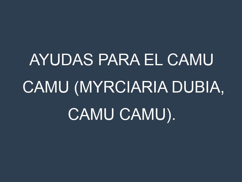 Ayudas para el Camu camu (Myrciaria dubia, camu camu). Ayudas para el cultivo. Subvenciones.