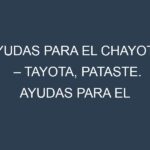 Ayudas para el Chayote – Tayota, Pataste. Ayudas para el cultivo. Subvenciones.