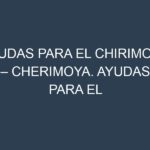 Ayudas para el Chirimoya – Cherimoya. Ayudas para el cultivo. Subvenciones.