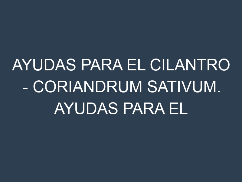 Ayudas para el Cilantro – Coriandrum sativum. Ayudas para el cultivo. Subvenciones.