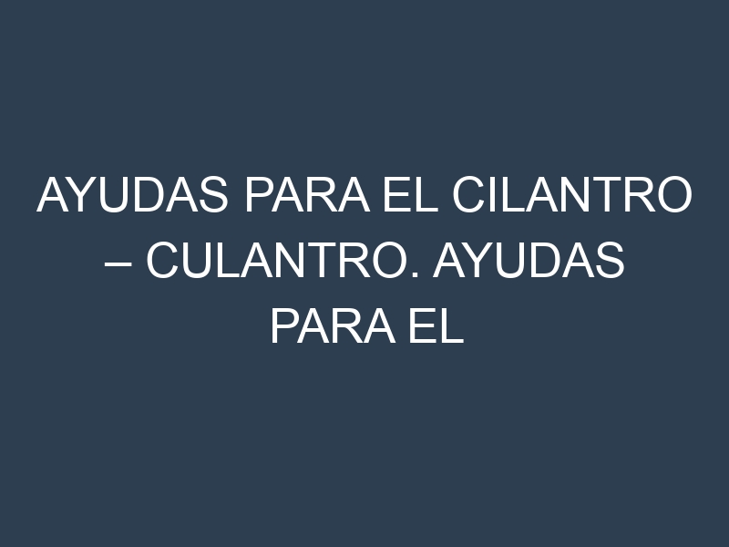 Ayudas para el Cilantro – Culantro. Ayudas para el cultivo. Subvenciones.