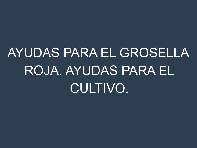 Ayudas para el Grosella roja. Ayudas para el cultivo. Subvenciones.