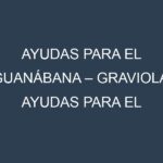 Ayudas para el Guanábana – Graviola. Ayudas para el cultivo. Subvenciones.