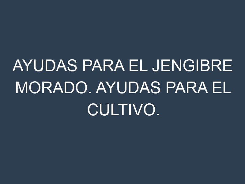 Ayudas para el Jengibre morado. Ayudas para el cultivo. Subvenciones.
