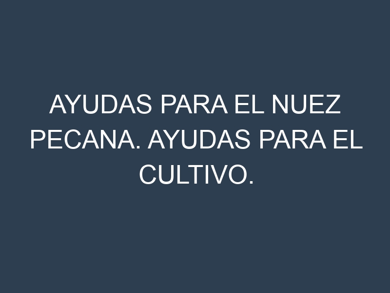 Ayudas para el Nuez pecana. Ayudas para el cultivo. Subvenciones.
