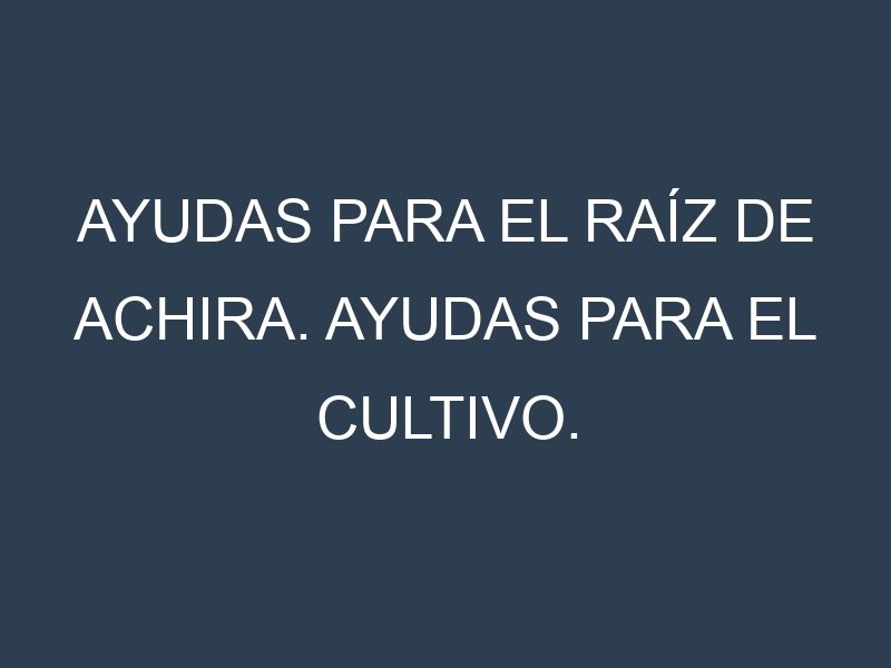 Ayudas para el Raíz de achira. Ayudas para el cultivo. Subvenciones.