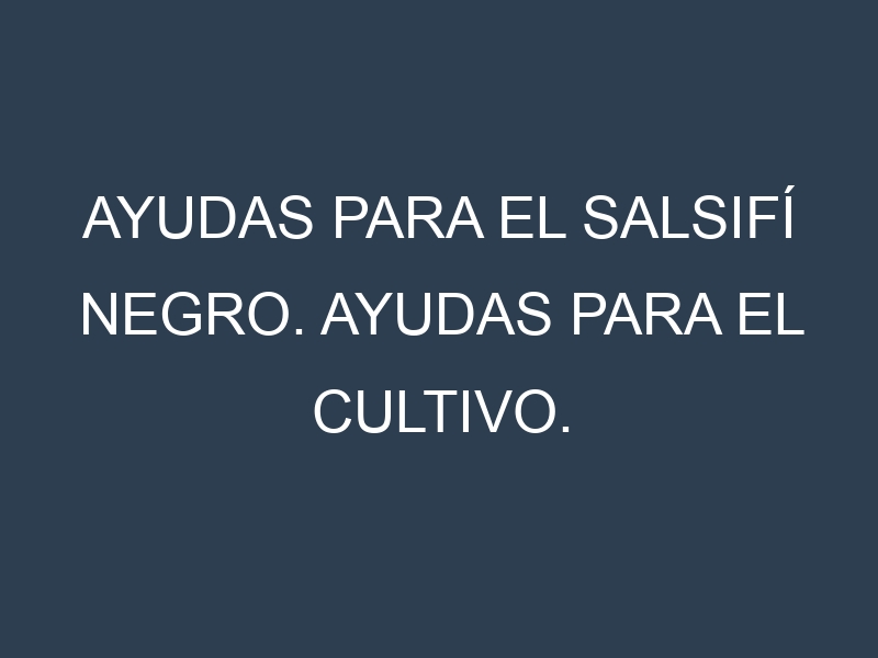 Ayudas para el Salsifí negro. Ayudas para el cultivo. Subvenciones.