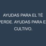 Ayudas para el Té verde. Ayudas para el cultivo. Subvenciones.