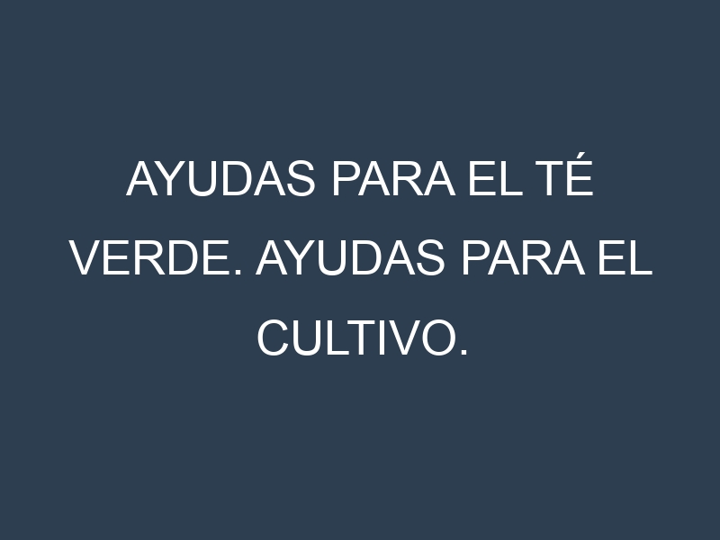 Ayudas para el Té verde. Ayudas para el cultivo. Subvenciones.