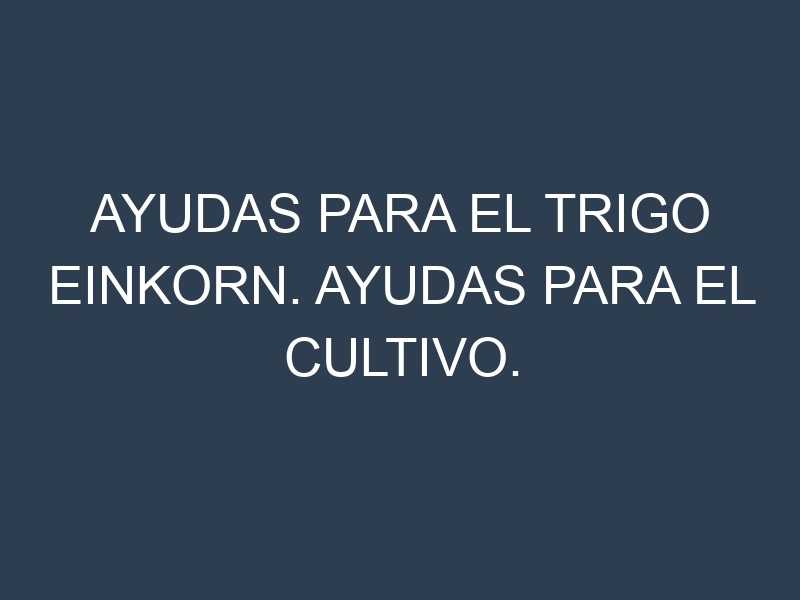 Ayudas para el Trigo einkorn. Ayudas para el cultivo. Subvenciones.