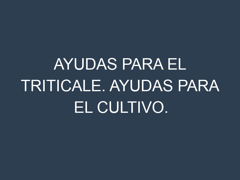 Ayudas para el Triticale. Ayudas para el cultivo. Subvenciones.