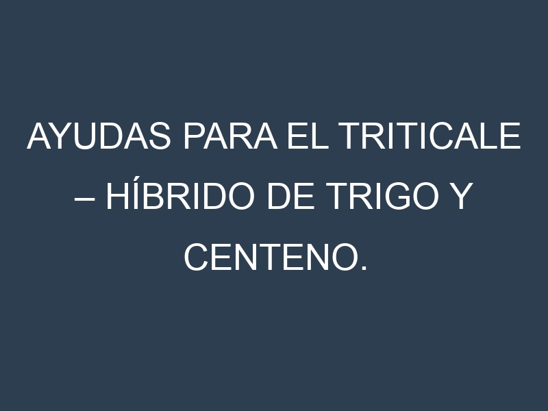 Ayudas para el Triticale – Híbrido de trigo y centeno. Ayudas para el cultivo. Subvenciones.