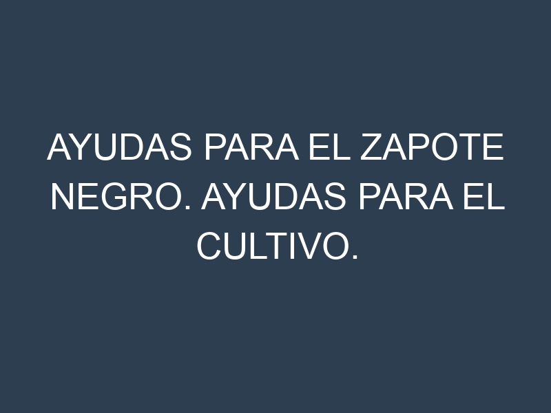 Ayudas para el Zapote negro. Ayudas para el cultivo. Subvenciones.