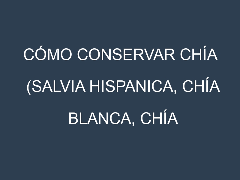 Cómo conservar Chía (Salvia hispanica, Chía blanca, Chía negra).