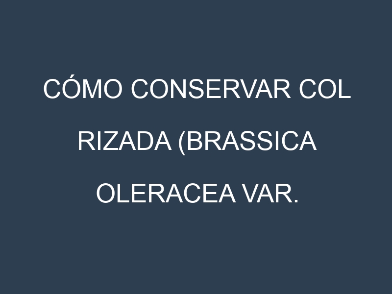 Cómo conservar Col rizada (Brassica oleracea var. sabellica, Kale, Col rizada verde).