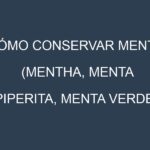 Cómo conservar Menta (Mentha, Menta piperita, Menta verde).
