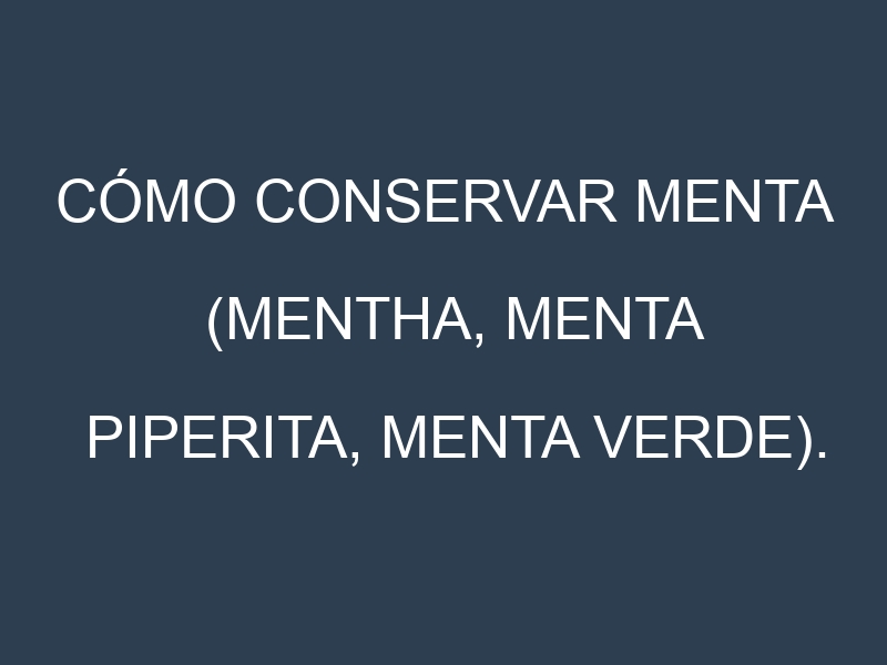 Cómo conservar Menta (Mentha, Menta piperita, Menta verde).