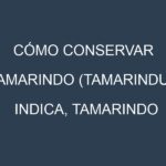 Cómo conservar Tamarindo (Tamarindus indica, Tamarindo dulce, Tamarindo ácido).