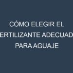 Cómo Elegir el Fertilizante Adecuado para Aguaje