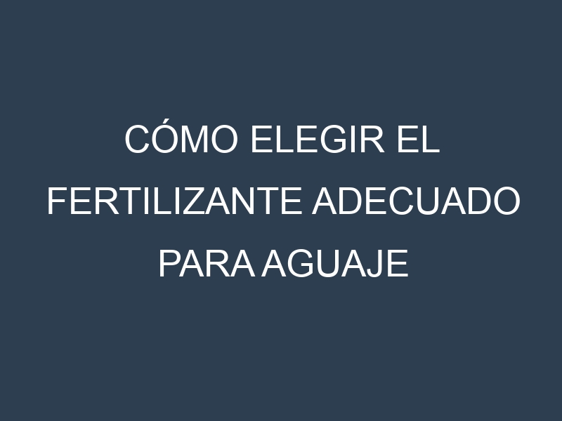 Cómo Elegir el Fertilizante Adecuado para Aguaje