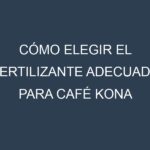 Cómo Elegir el Fertilizante Adecuado para Café Kona