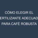 Cómo Elegir el Fertilizante Adecuado para Café robusta