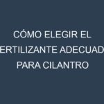 Cómo Elegir el Fertilizante Adecuado para Cilantro vietnamita