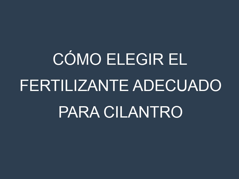 Cómo Elegir el Fertilizante Adecuado para Cilantro vietnamita