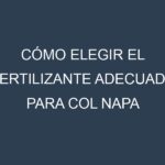 Cómo Elegir el Fertilizante Adecuado para Col napa