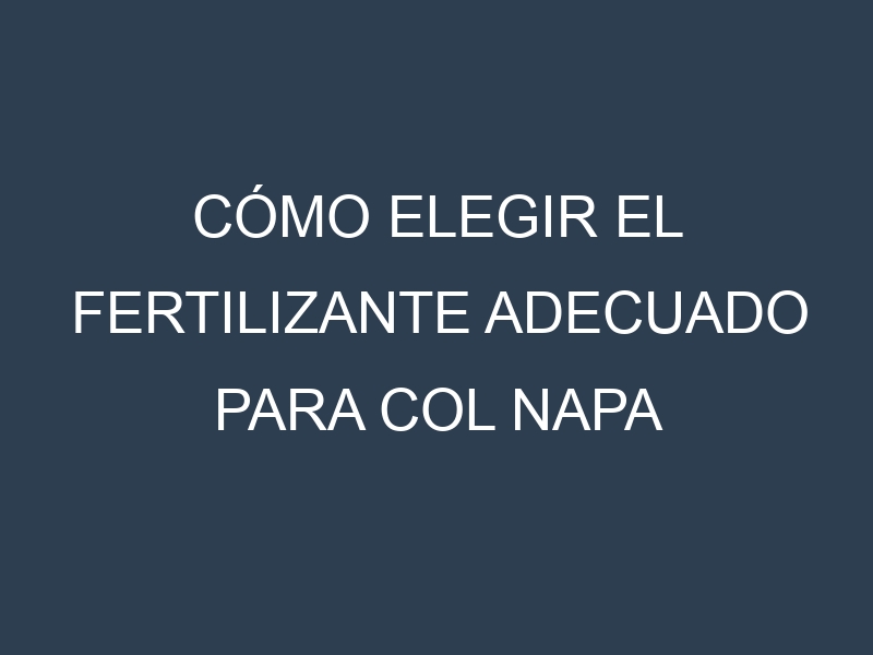 Cómo Elegir el Fertilizante Adecuado para Col napa