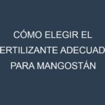 Cómo Elegir el Fertilizante Adecuado para Mangostán