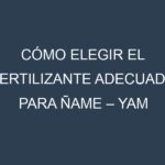 Cómo Elegir el Fertilizante Adecuado para Ñame – Yam