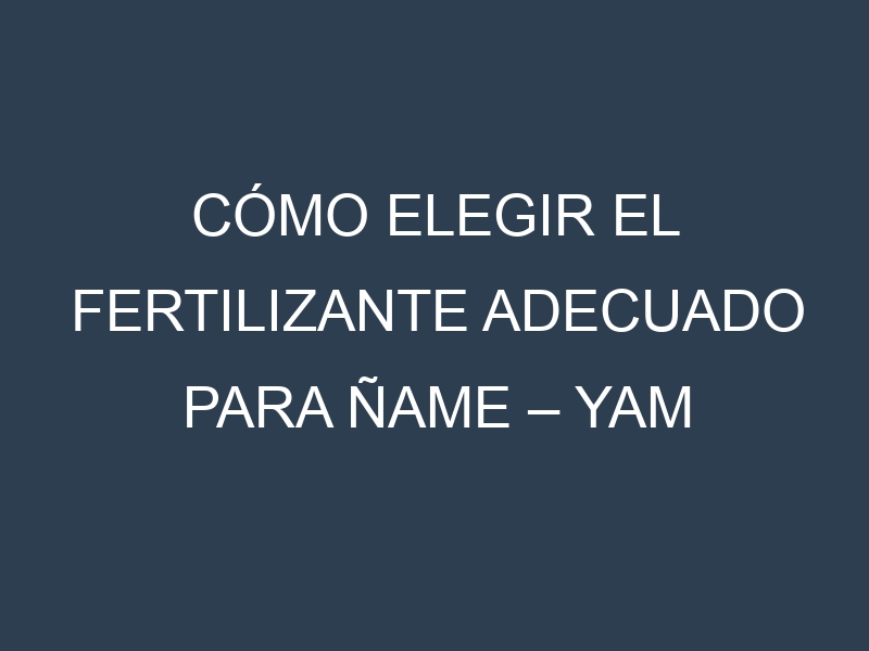 Cómo Elegir el Fertilizante Adecuado para Ñame – Yam