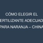Cómo Elegir el Fertilizante Adecuado para Naranja – China