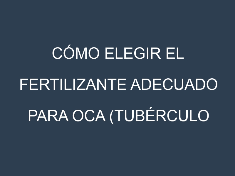 Cómo Elegir el Fertilizante Adecuado para Oca (tubérculo andino)