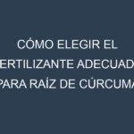 Cómo Elegir el Fertilizante Adecuado para Raíz de cúrcuma