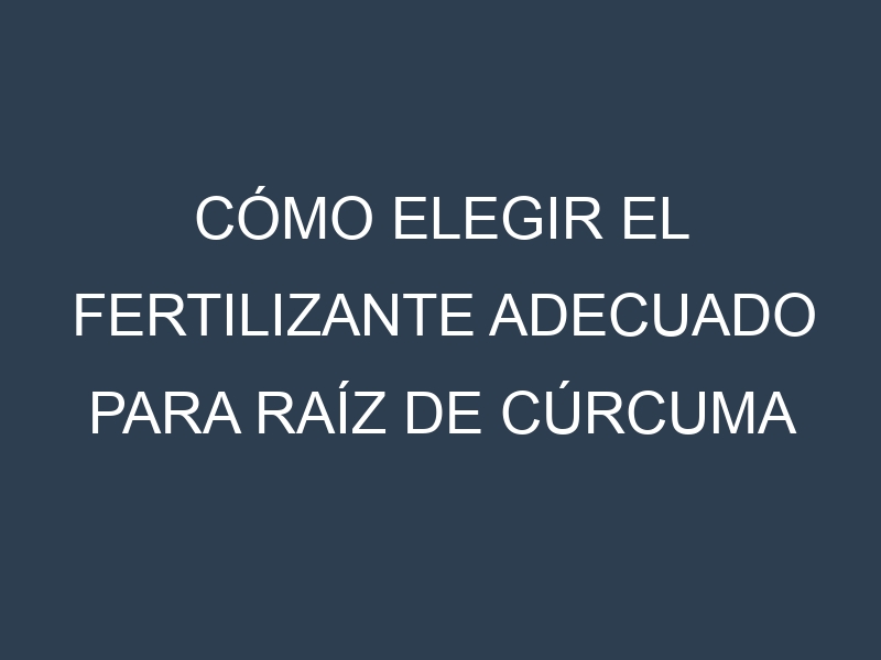 Cómo Elegir el Fertilizante Adecuado para Raíz de cúrcuma