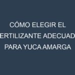 Cómo Elegir el Fertilizante Adecuado para Yuca amarga