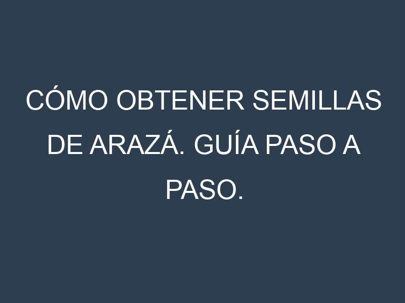 Cómo obtener semillas de Arazá. Guía paso a paso. Técnicas sencillas. Conservación.